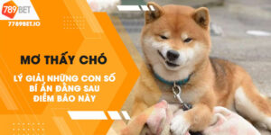 Giải mã giấc mơ thấy chó