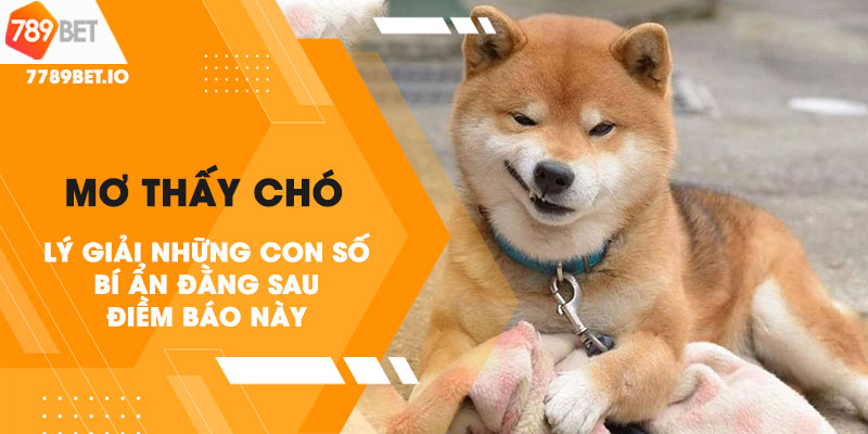 Giải mã giấc mơ thấy chó