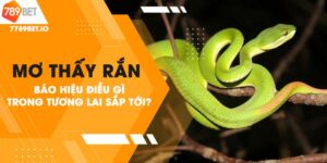 Giải mã giấc mơ thấy rắn