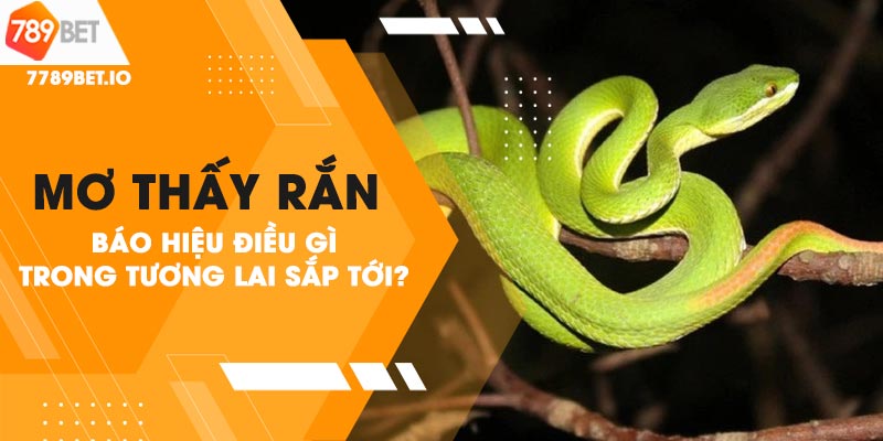 Giải mã giấc mơ thấy rắn