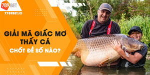 Giải mộng mơ thấy cá