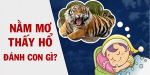 Lựa chọn bộ số cho giấc chiêm bao thấy cọp, hổ