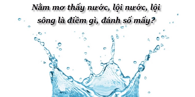 Rất nhiều giấc mơ đều có liên quan đến nước