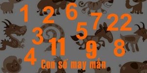 8 là con số may mắn đại diện cho sự thịnh vượng