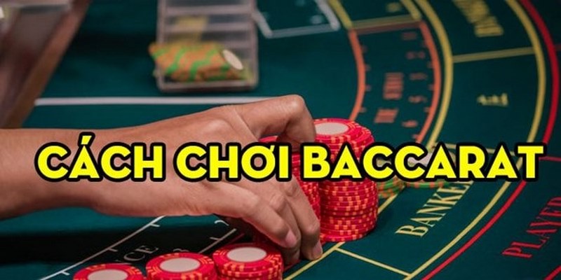 Tìm hiểu cách chơi Baccarat cơ bản để đầu tư hiệu quả