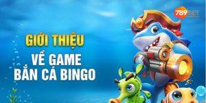 Đôi nét về game bắn cá Bingo
