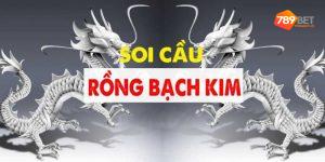 Tìm hiểu về tên gọi rồng bạch kim